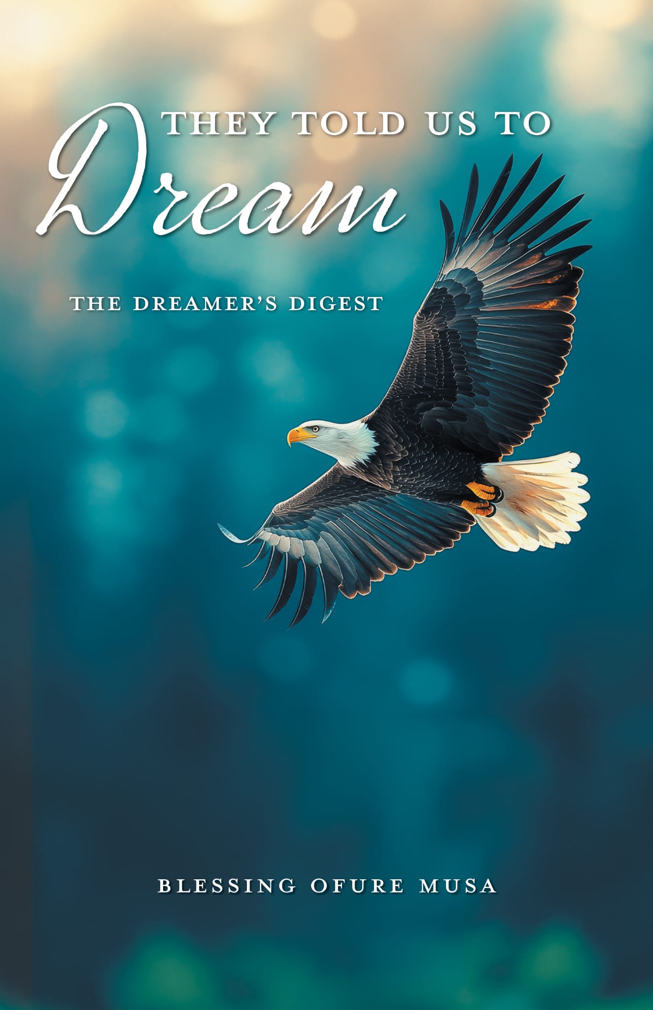 They Told Us To Dream